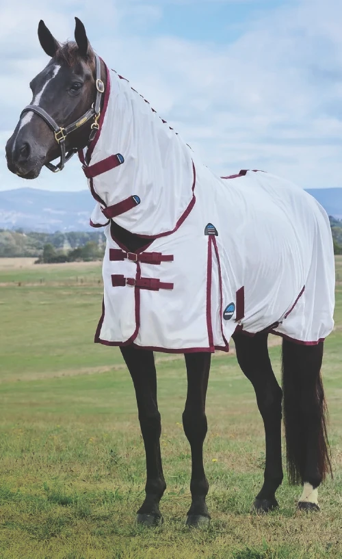 Fly sheets - Fly masks - Fly Boots for horses